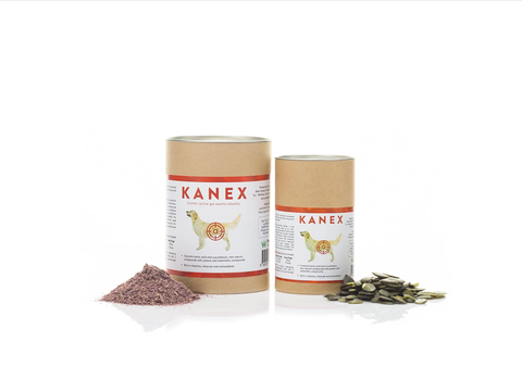 Dog's First - Kanex 02.png