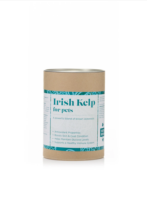 Dog's First - Irish Kelp 01.png