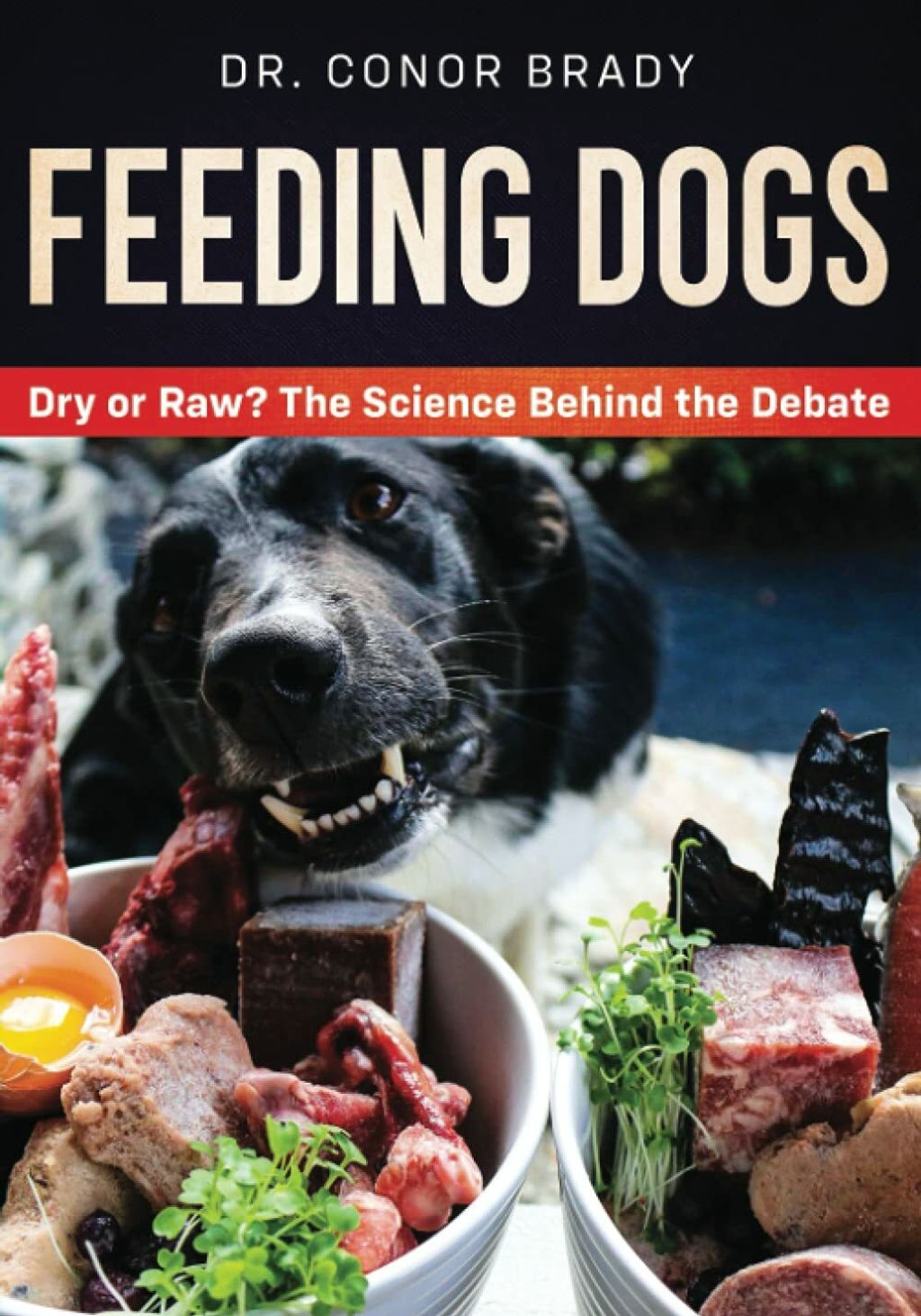 Dog's First - Feeding Dogs 02.jpg