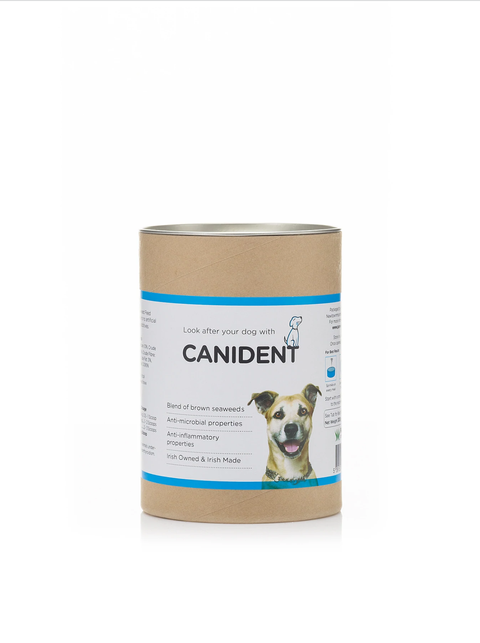 Dog's First - Canident 01.png