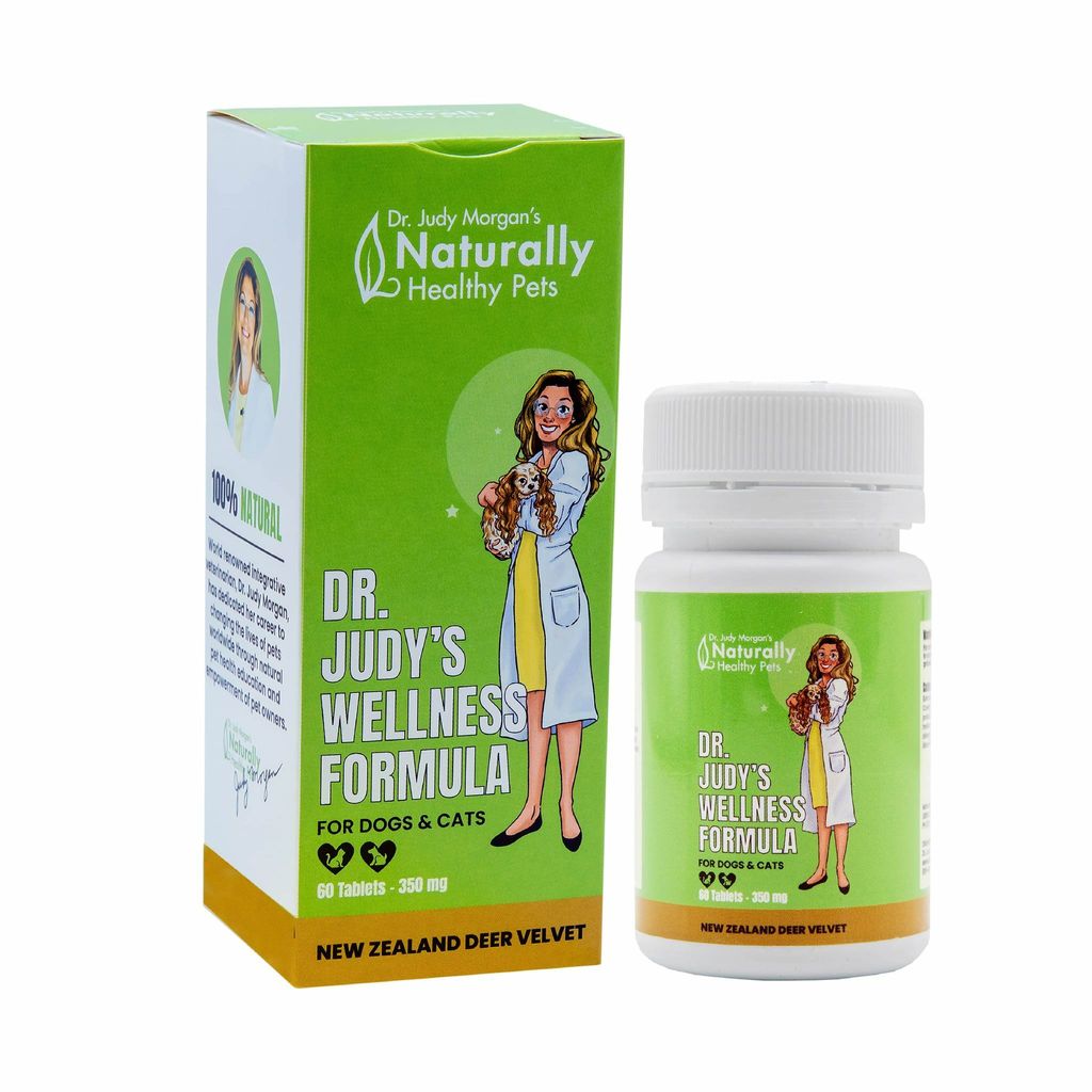 Dr Judy Wellness Formula 01