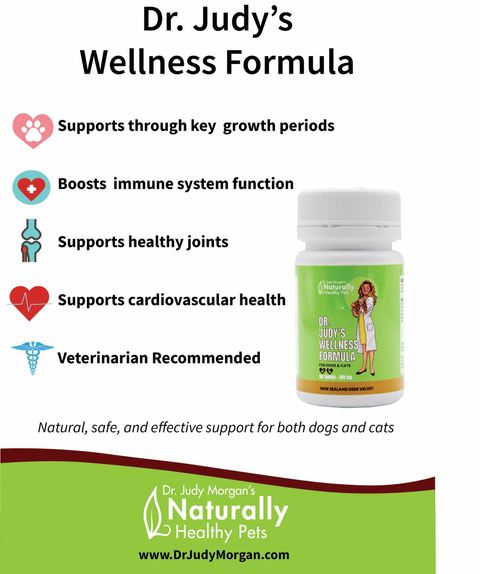 Dr Judy Wellness Formula 03