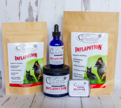 Glacier Peak-Inflapotion-Dog 001