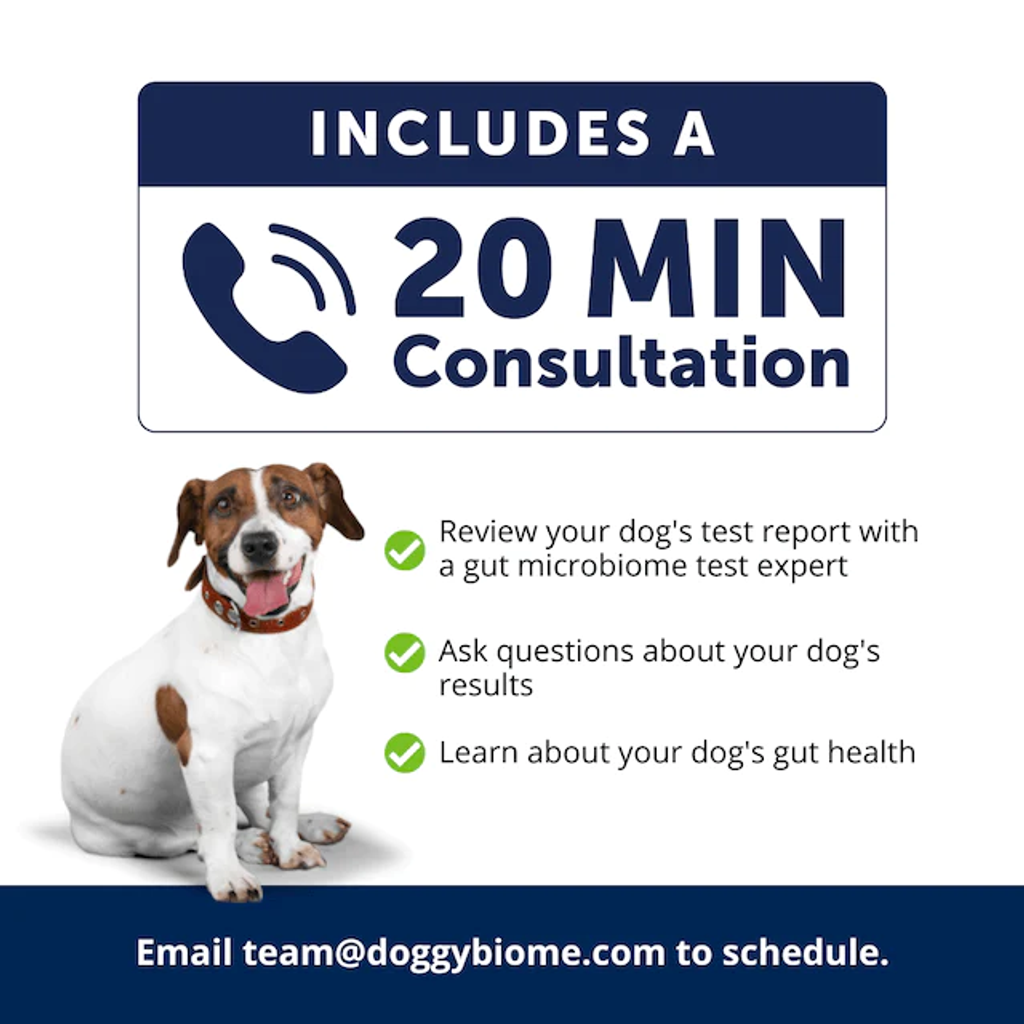 DoggyBiome Gut Health Test 05