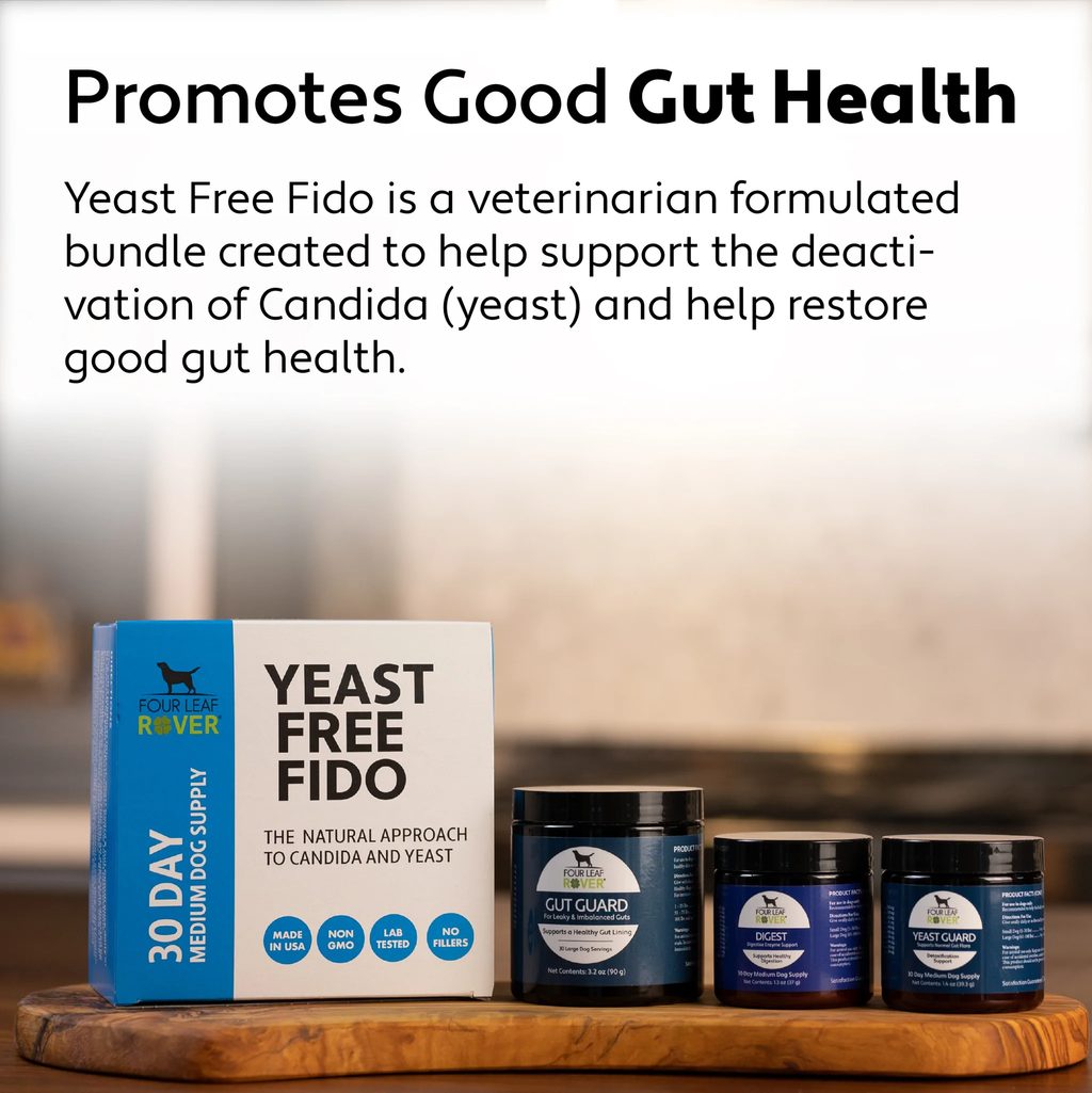 Yeast-Free Fido 10