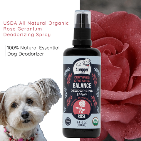 Balance Deodorizing Spray 04