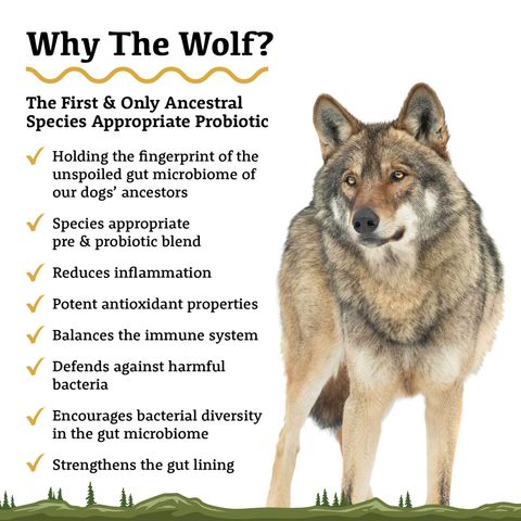The Wolf - Species Appropriate Probiotic - 02