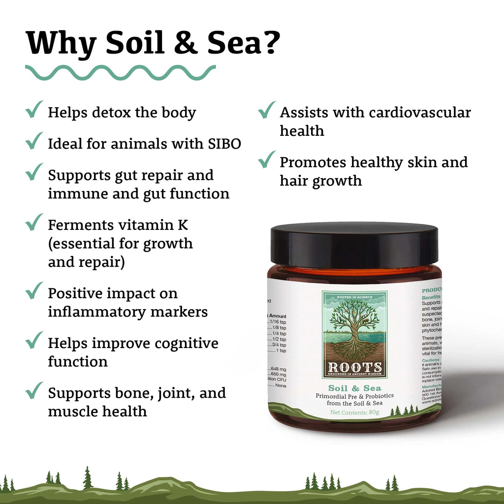 Soil & Sea - Primordial Pre & Probiotics - 03