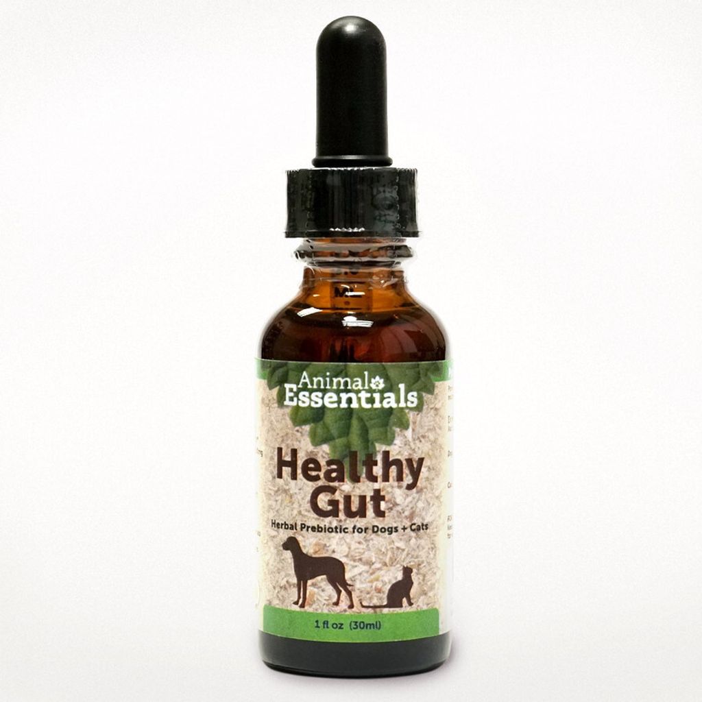 Animal Essentials - Healthy Gut 01