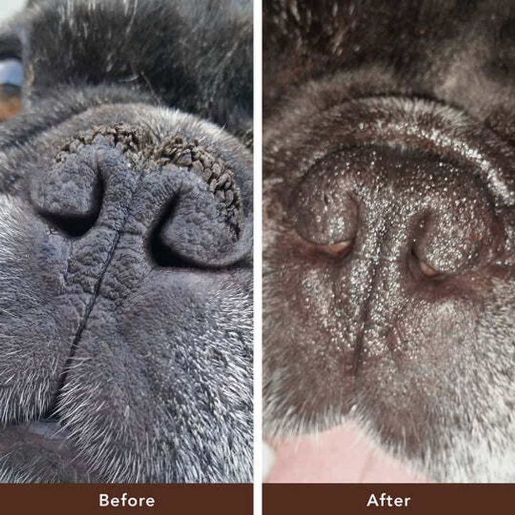 Natural Dog Company - Snout Soother Before After