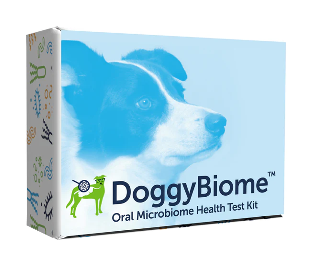 DoggyBiome Oral Health Test 02