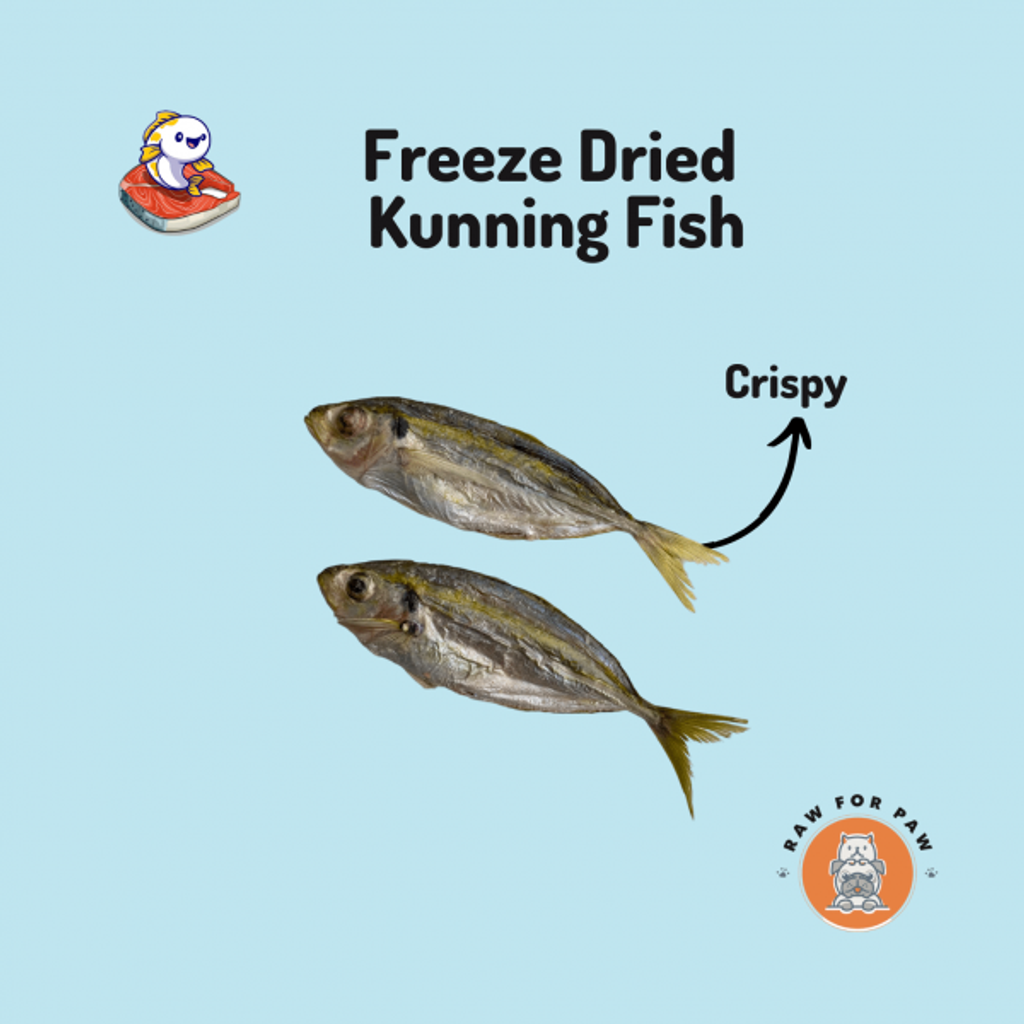 Freeze Dried Kunning Fish 01