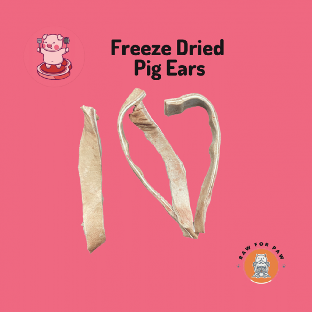 Freeze Dried Pig Ear Strips 01