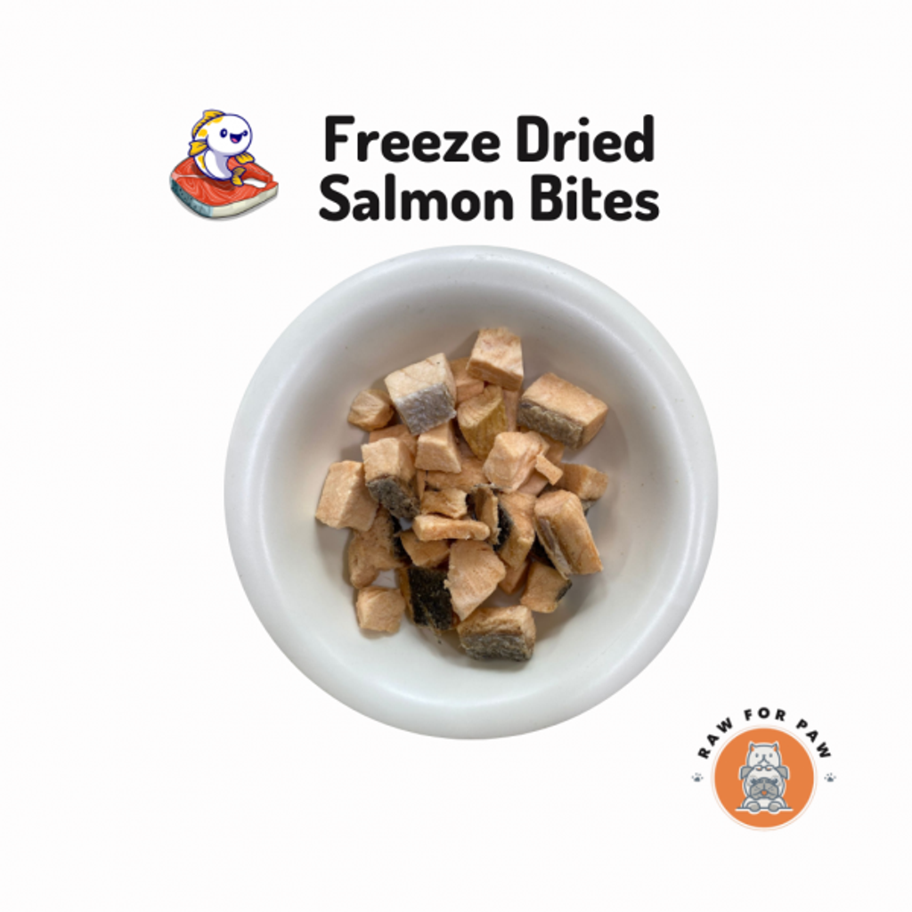 Freeze Dried Salmon Training Bites 01