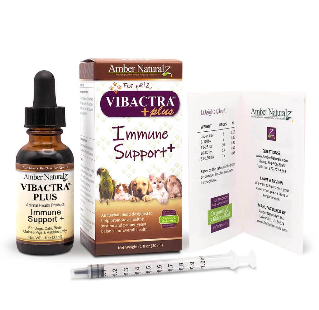 Vibactra Plus 01