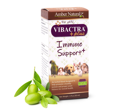 Vibactra Plus 02