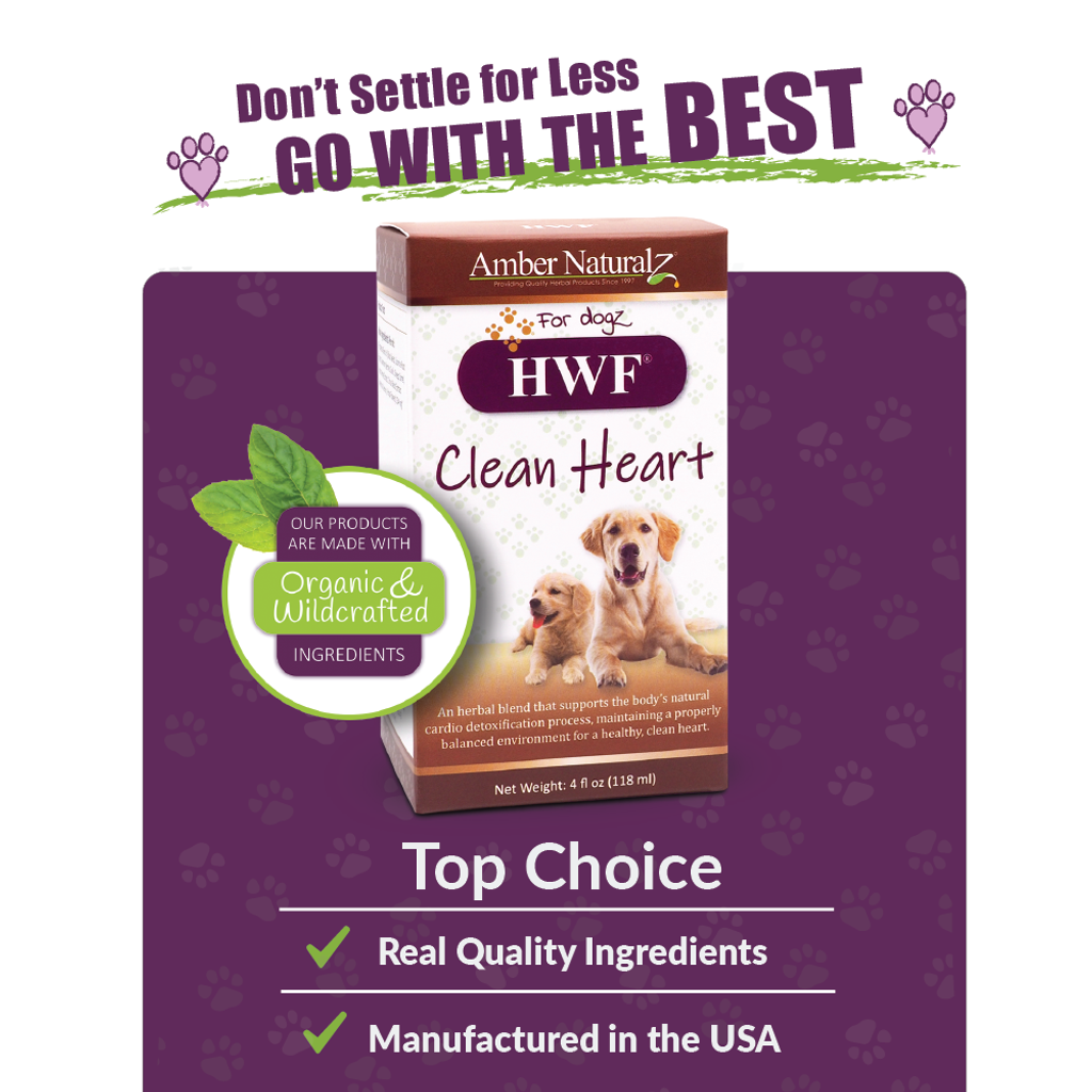 HWF® For Dogs 04