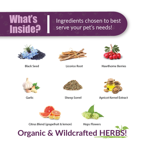 HWF® For Dogs 02