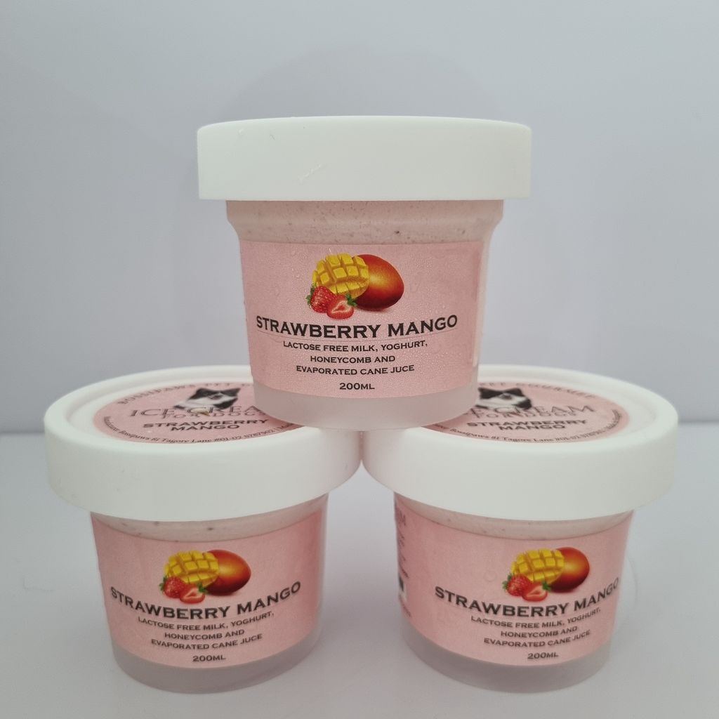 Ice Cream - Strawberry Mango 04