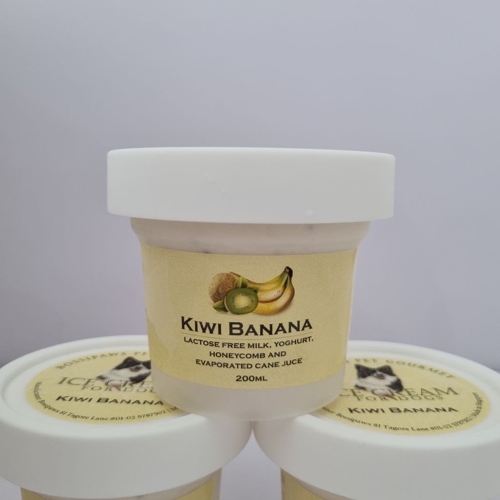Ice Cream - Kiwi Banana 05