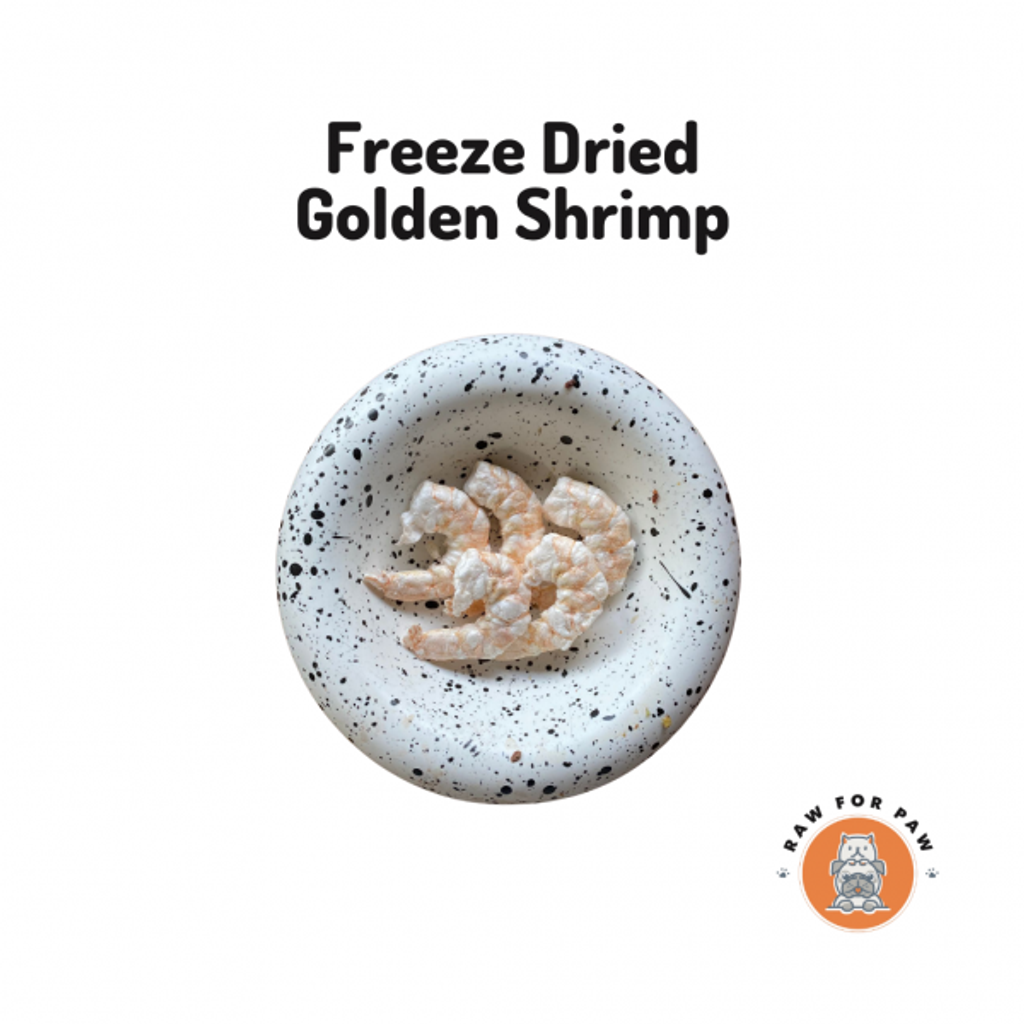 Freeze Dried Golden Shrimp 01