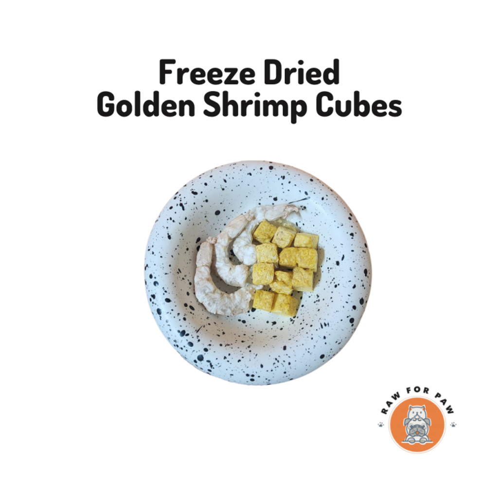 Freeze Dried Golden Shrimp Cubes 01