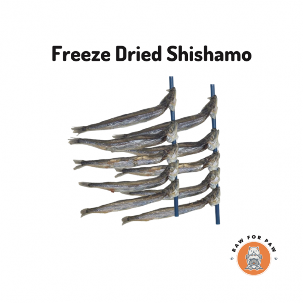 Freeze Dried Shishamo 01