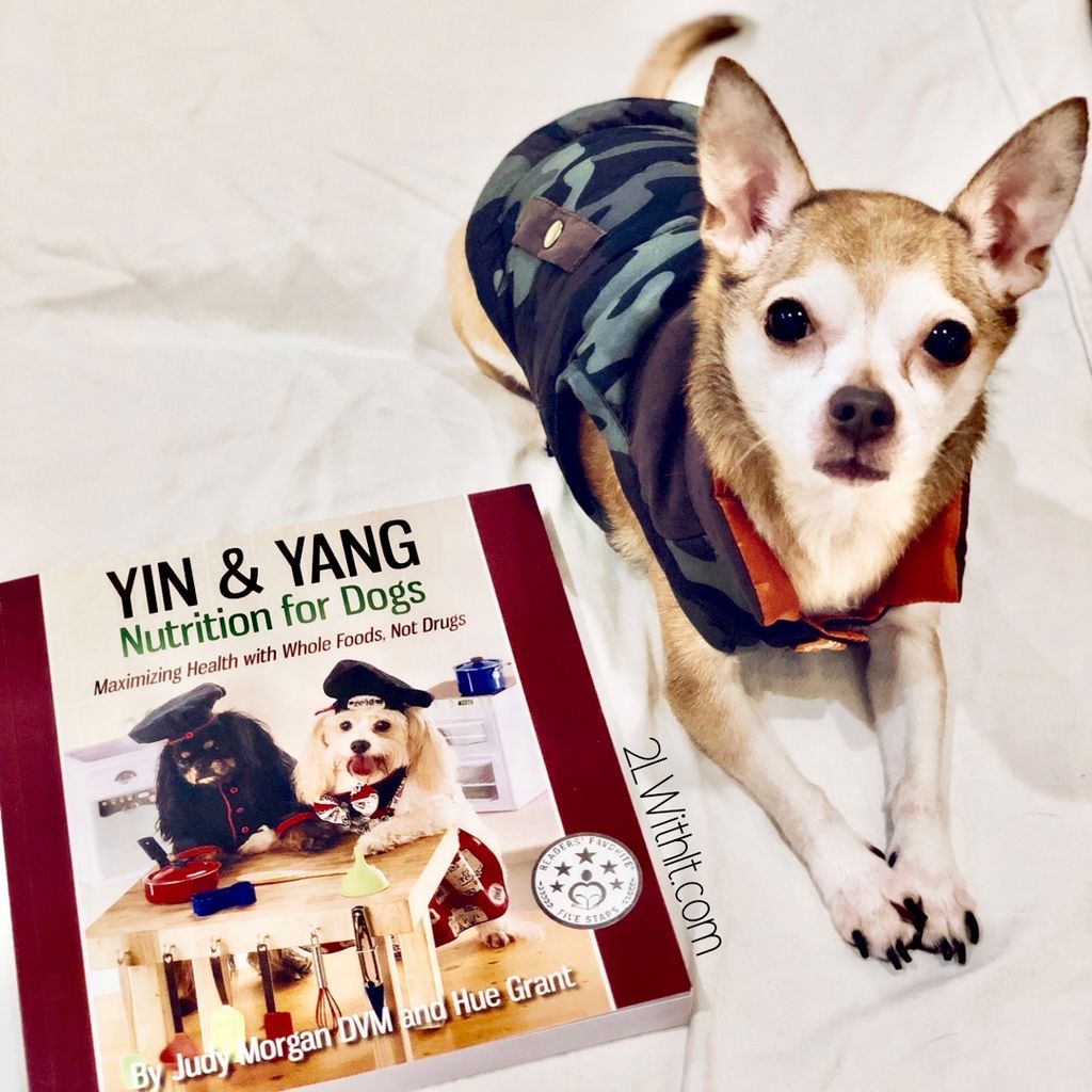 Yin and Yang Nutrition For Dogs 03