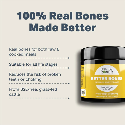 FLR Better Bones 02