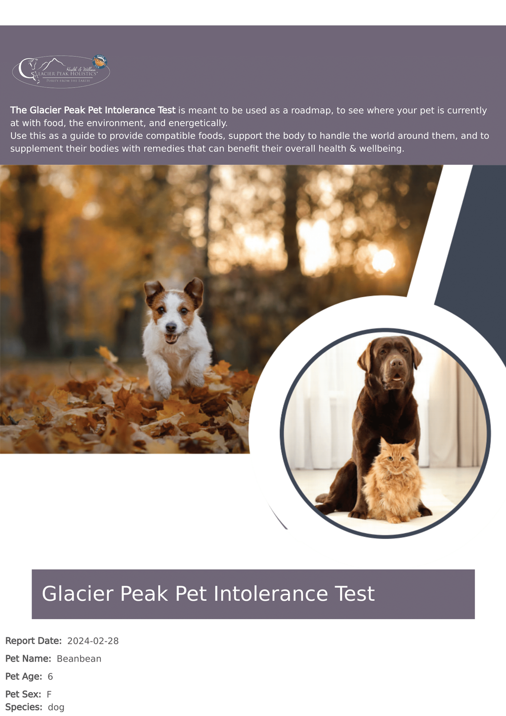 Glacier Peak-Pet Intolerance Test 03a