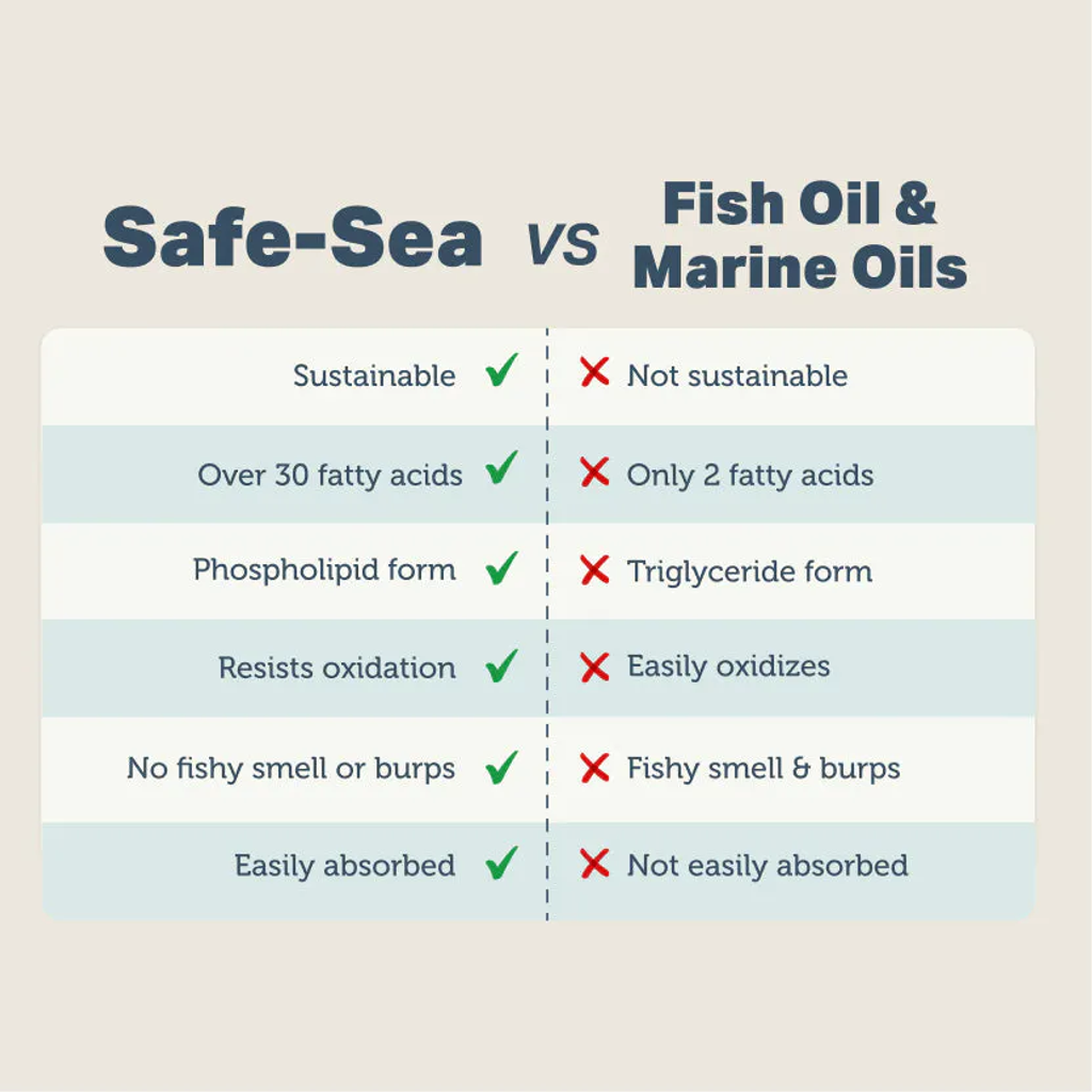 Safe Sea 05