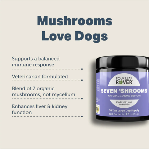 Seven Shrooms 02