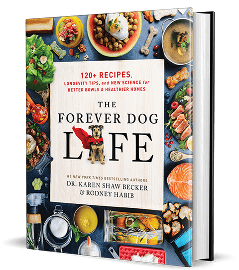 Forever Dog Life 02