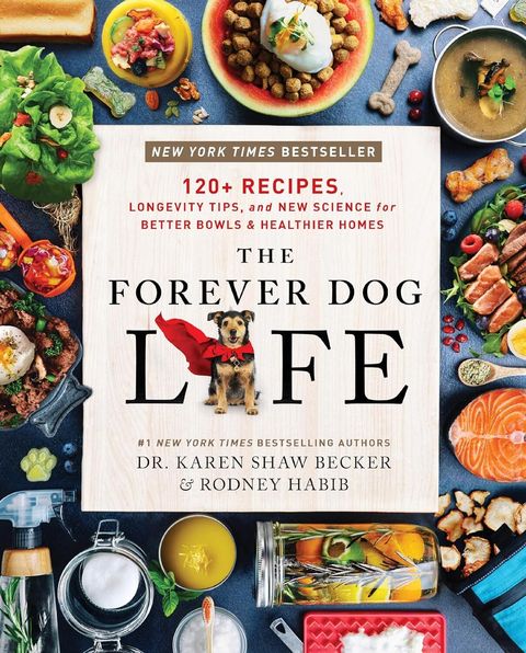 Forever Dog Life 01