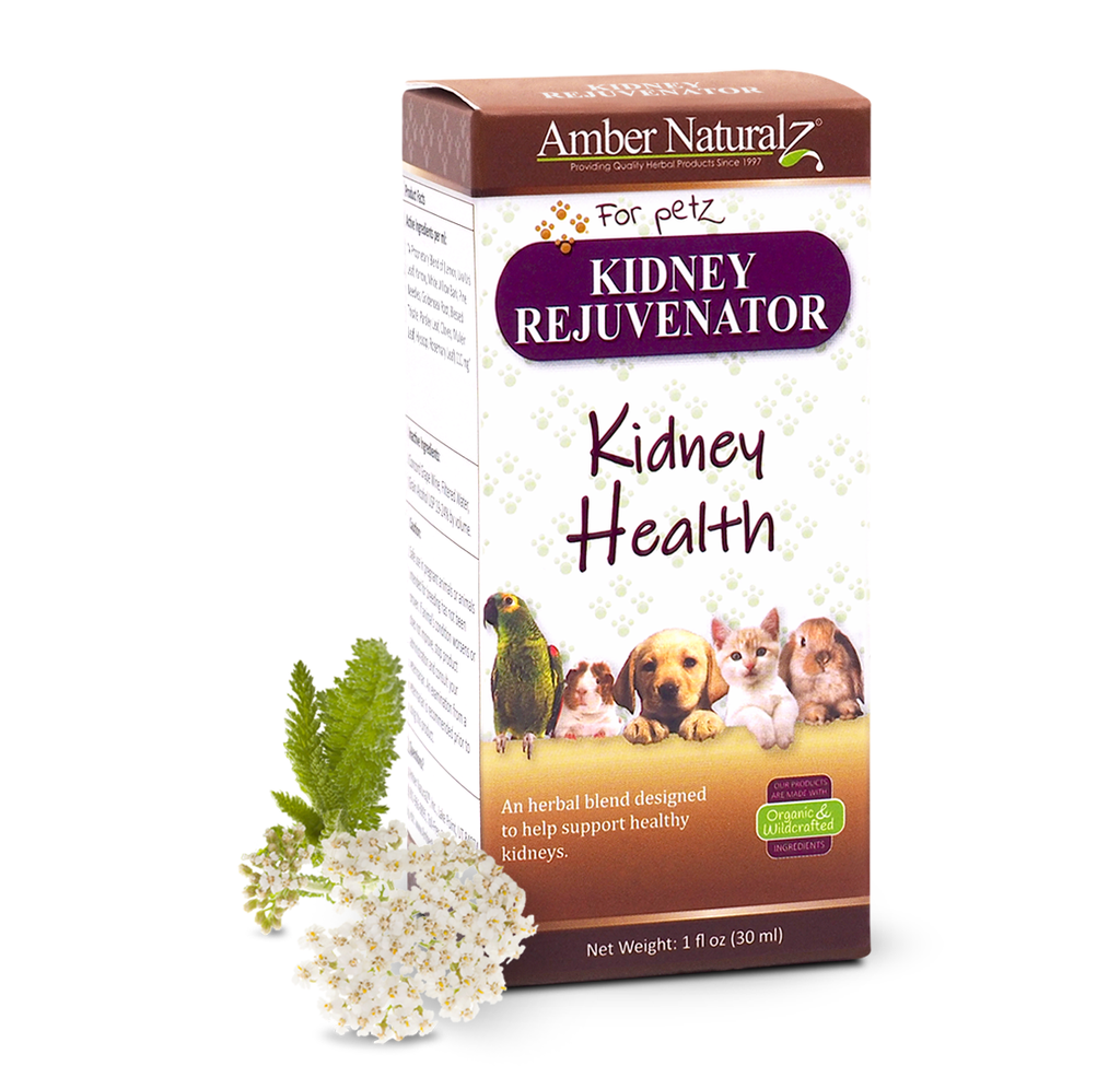 Kidney-Rejuvenator_1ozBox_AngleFrontHerb-1