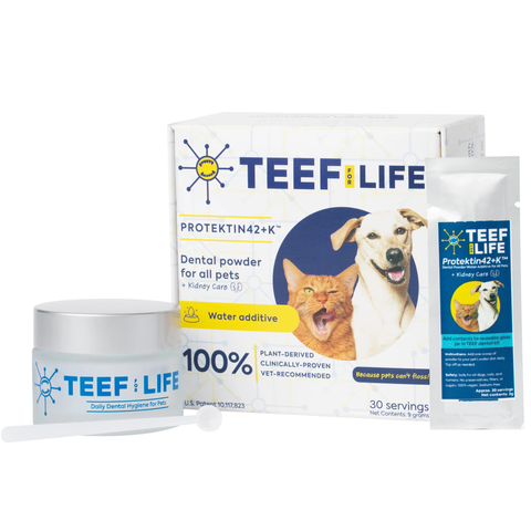 teef 1 png