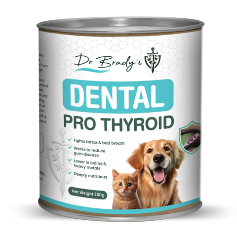 Dental-300g-tub-smaller