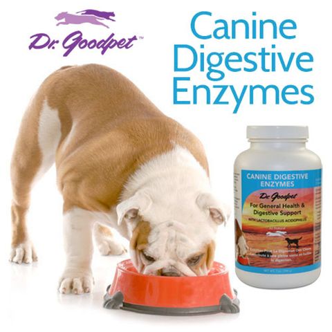 Dr Goodpet - Canine Digestive Enzymes 01