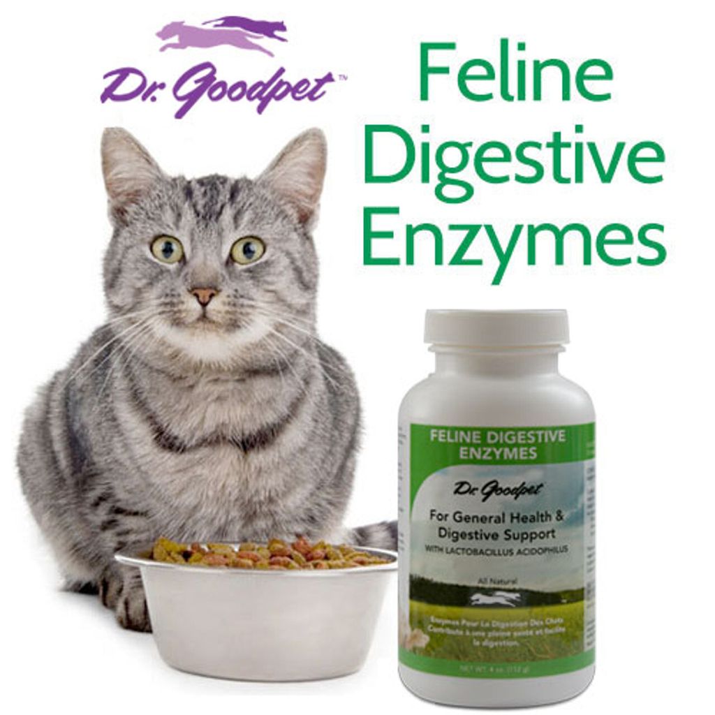 Dr Goodpet - Feline Digestive Enzymes 01