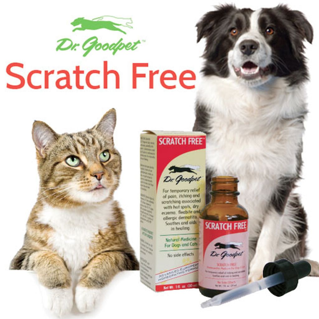 Dr Goodpet - Scratch Free 01