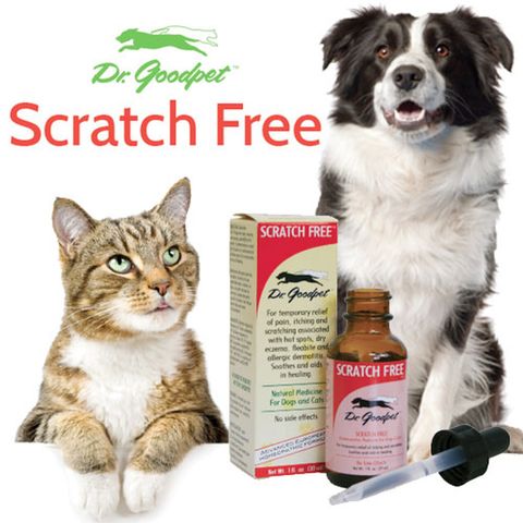 Dr Goodpet - Scratch Free 01