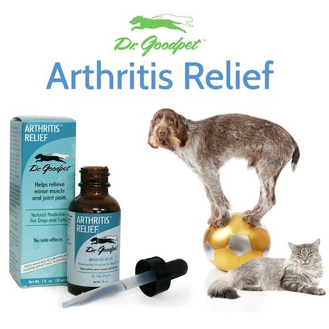 Dr Goodpet - Arthritis Relief 01