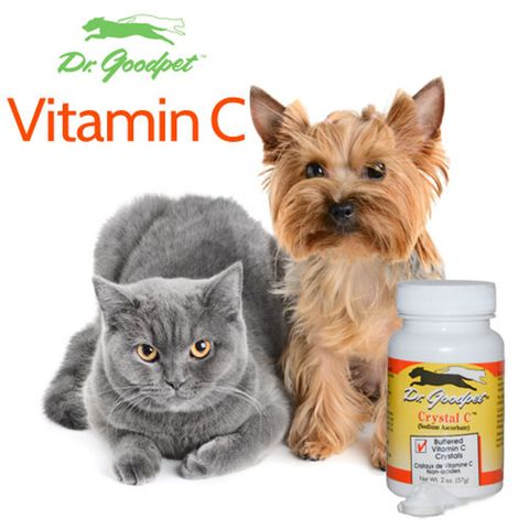 Dr Goodpet - Crystal C 01