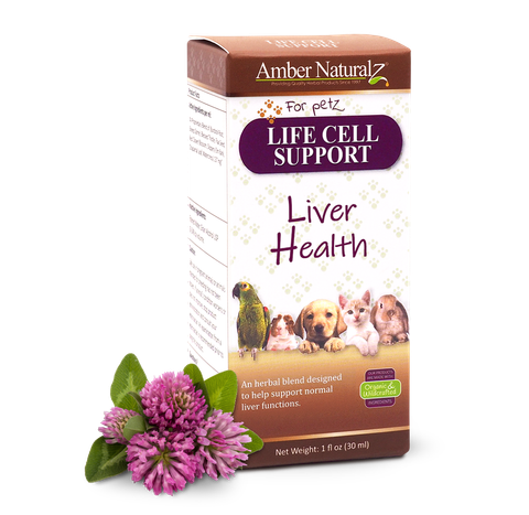 Life Cell Support 01
