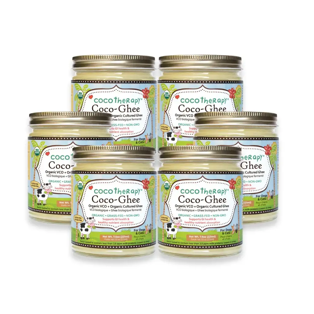 CocoTherapy_Organic_Coco_Ghee_6-pack_1024x