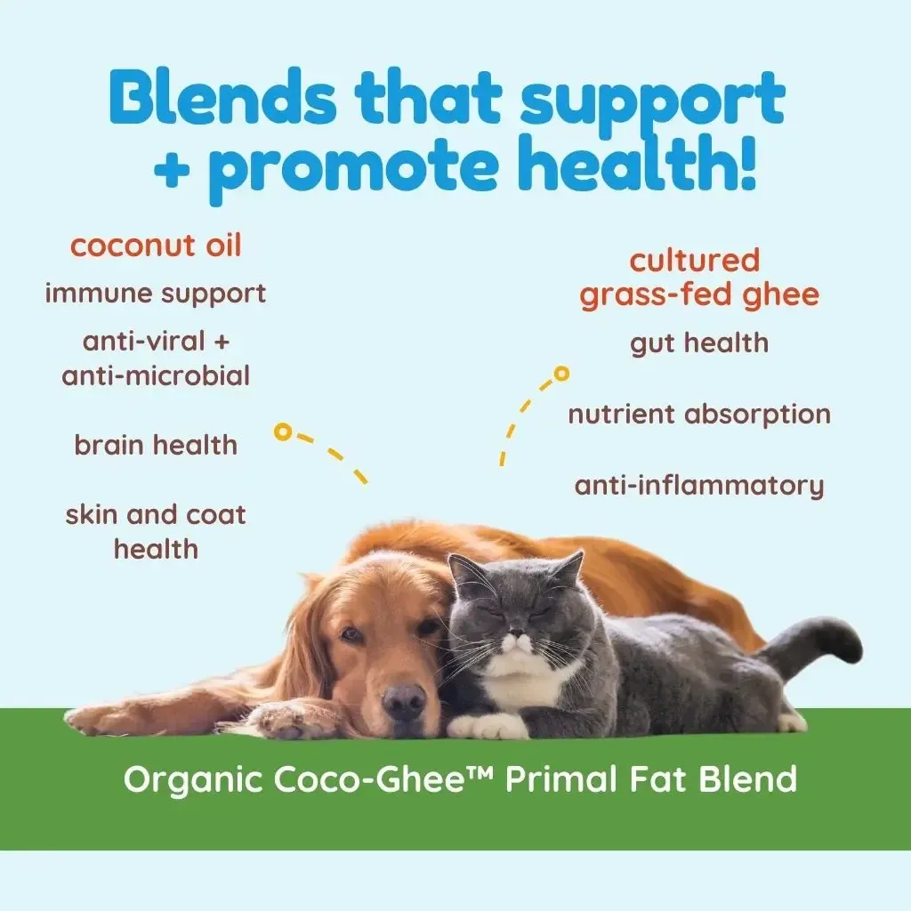 Coco-GheeHealthBenefits_1024x