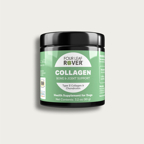 PBI-Feature-Collagen-new