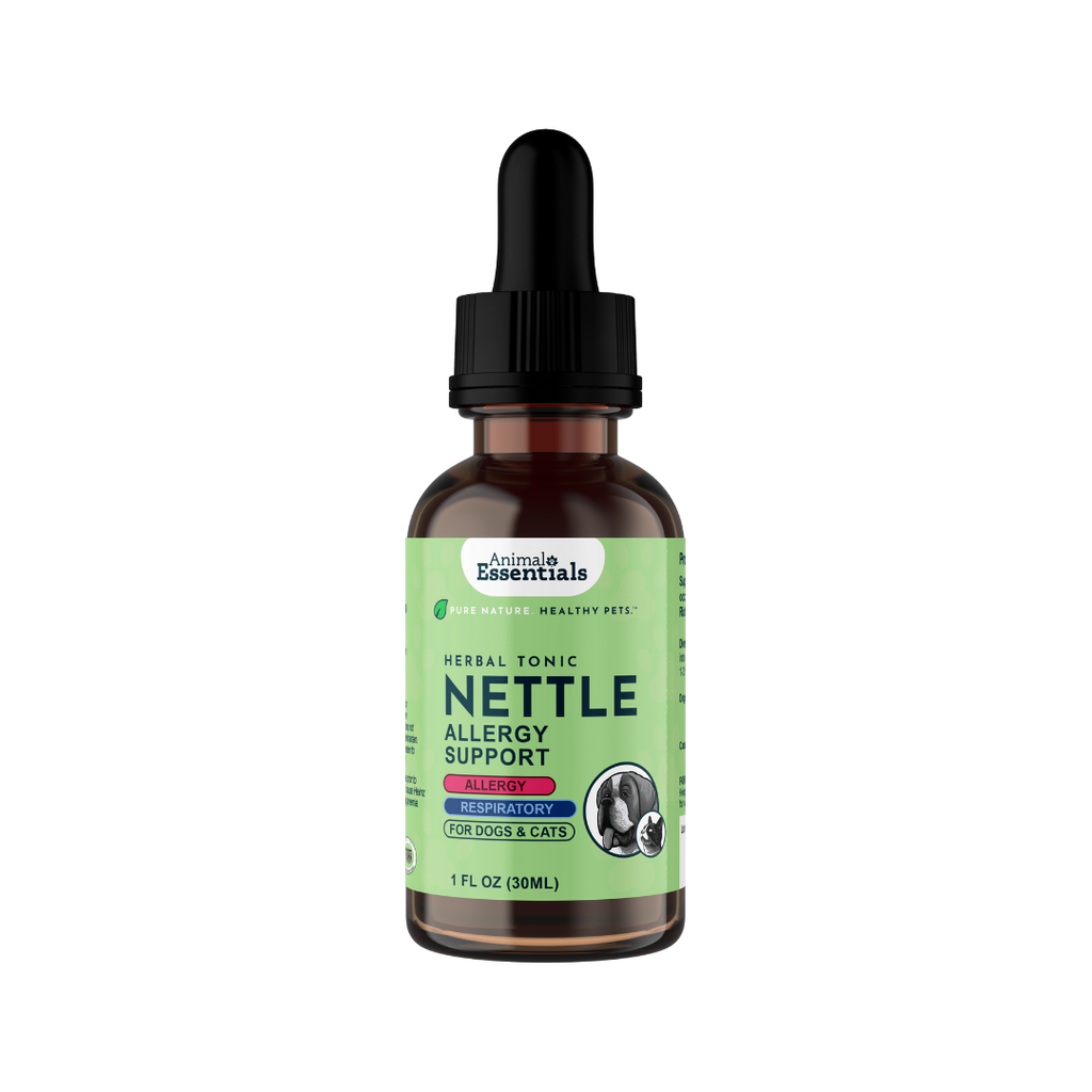 AE_Nettle_1