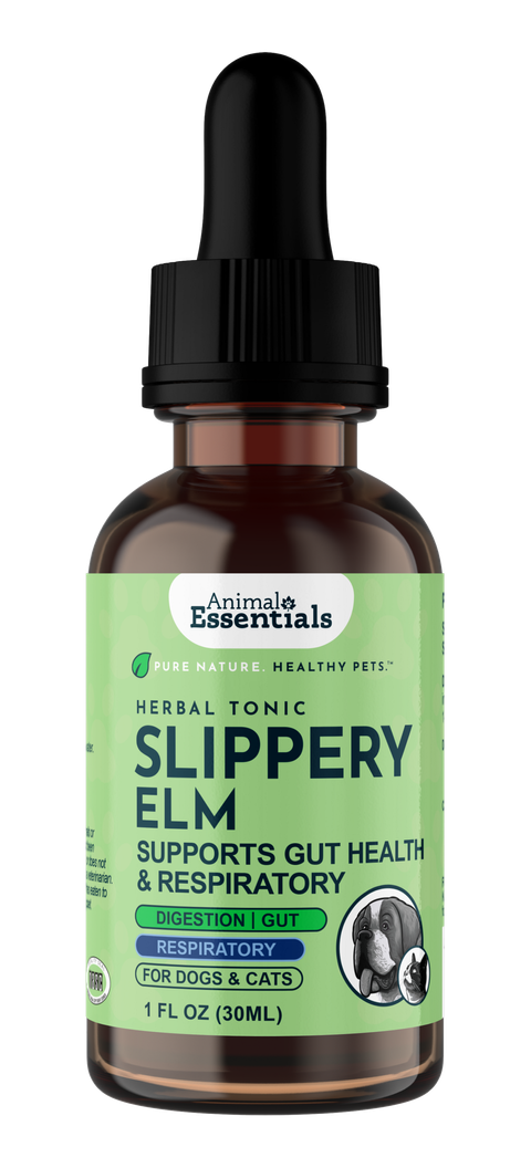 AE_Slippery_Elm