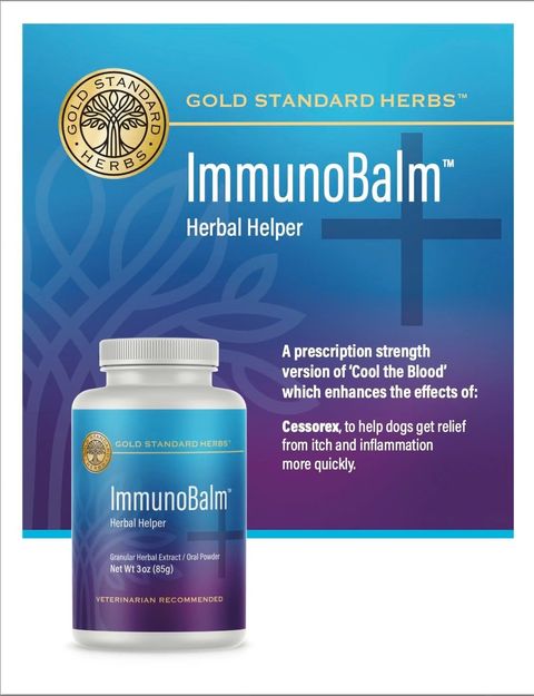 Gold Standard Herbs - ImmunoBalm 03